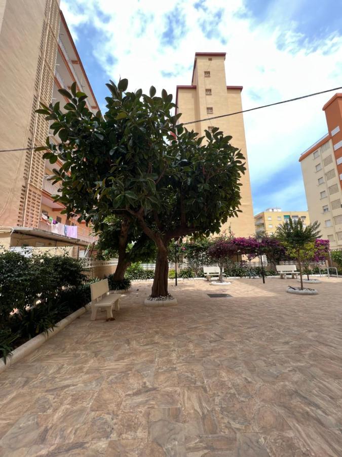 Ap Cande Playa De Gandia ภายนอก รูปภาพ